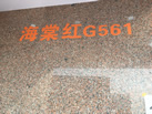 ĺG561 - ᯺ʯҵɷ